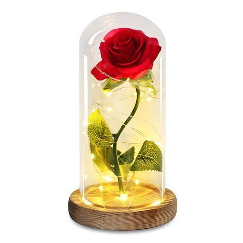 Троянда в колбі I Love You з LED підсвічуванням, 21 см, червона СК0367 фото