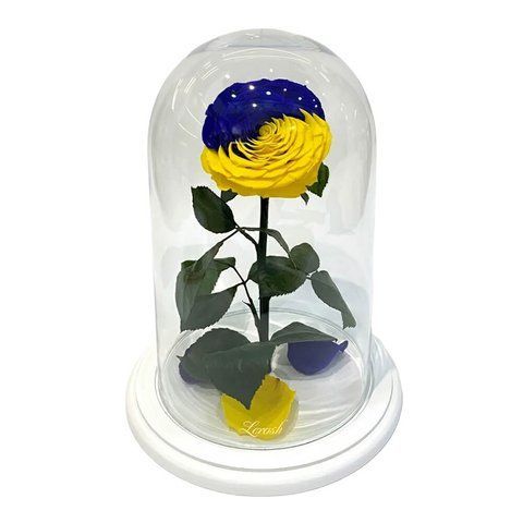 Троянда &laquo;Прапор України&raquo; в колбі Lerosh Lux 33 см на білій підставці D092917 фото